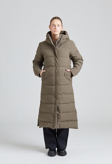 Scandinavian Edition Meridian Meridian Major Brown 