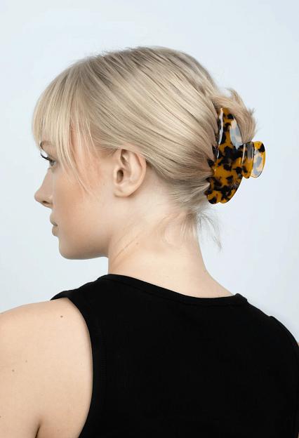 Sui Ava Ida Classic Big Brown Leo
