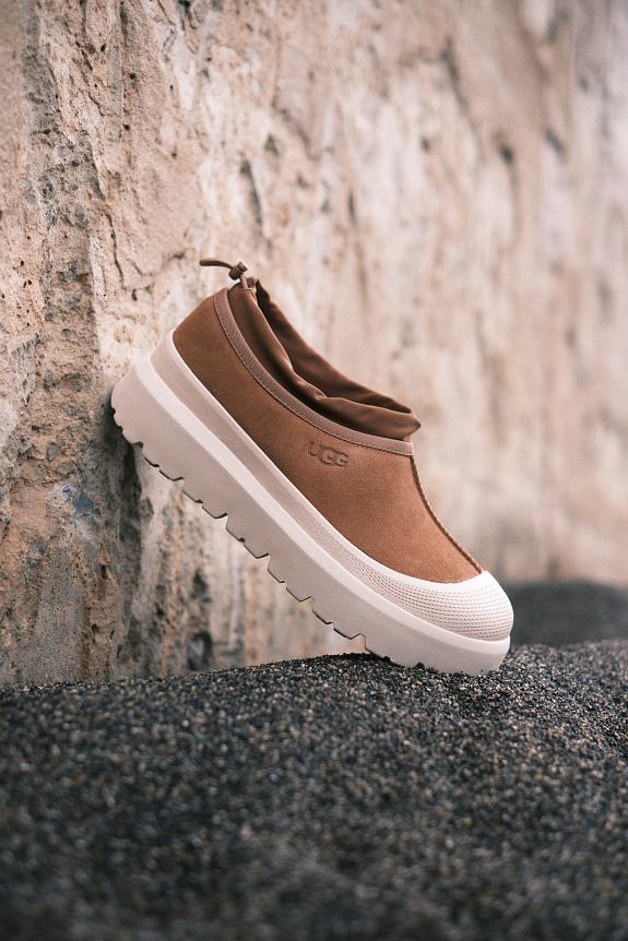 UGG Men's Tasman Weather Hybrid Chestnut/Whitecap-2