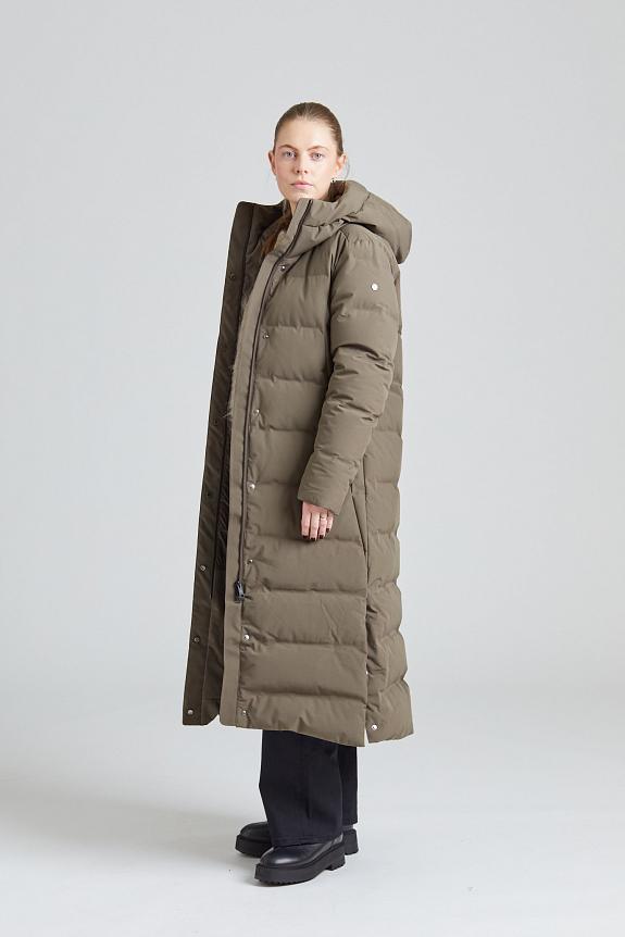 Scandinavian Edition Meridian Meridian Major Brown 