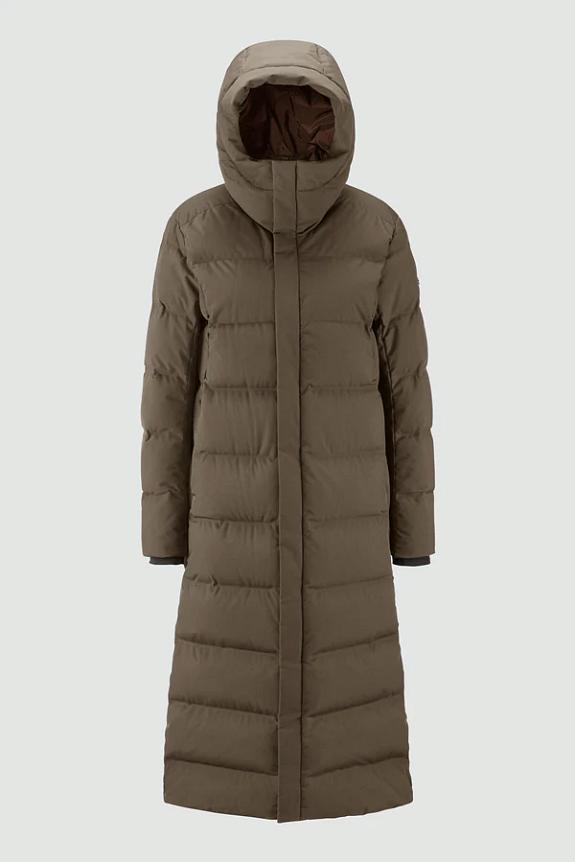 Scandinavian Edition Meridian Meridian Major Brown 