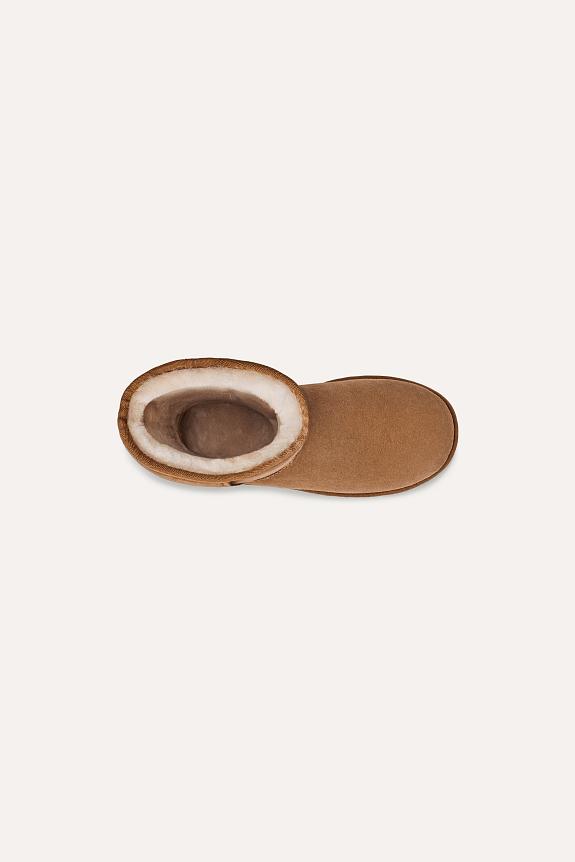 UGG W Classic Tall II Chestnut